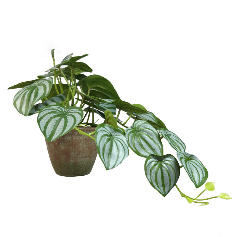 Matorino -Mini Fake Potted Artificial Plants, Faux Plants Indoor Farmhouse Greenery Decor for Shelf Bathroom Table Centerpiece Home Office Decoration.