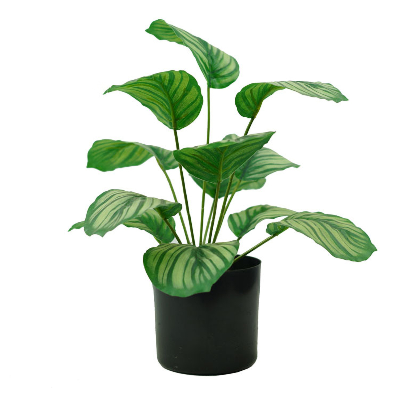 Matorino -Artificial Potted Plant, Faux Plants Indoor, Small Artificial Plants for Home Decor, Fake Plants for Living Room, Home, Bedroom, Office, Bathroom, Kitchen, Porch, Coffee Tables, Side Tables Desk.