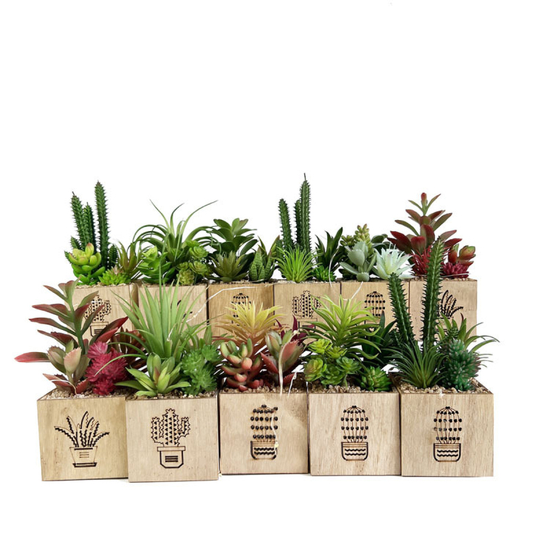 Matorino -Artificial Succulent Plants, Mini Fake Plants with Led String Light for Bedroom Aesthetic Living Room Office Shelf Bathroom Decor.