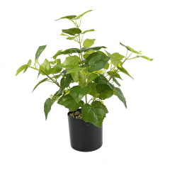 Matorino -Small Fake Tree Plants , Artificial Tree Plant in Pot for Indoor Outdoor Home Office Garden Decoration.Office Desk Faux Plant, Leaf Ficus Plant, Realistic Small Fake Farmhouse Plants for Home Kitchen Bathroom Bedroom Evergreen Decor.