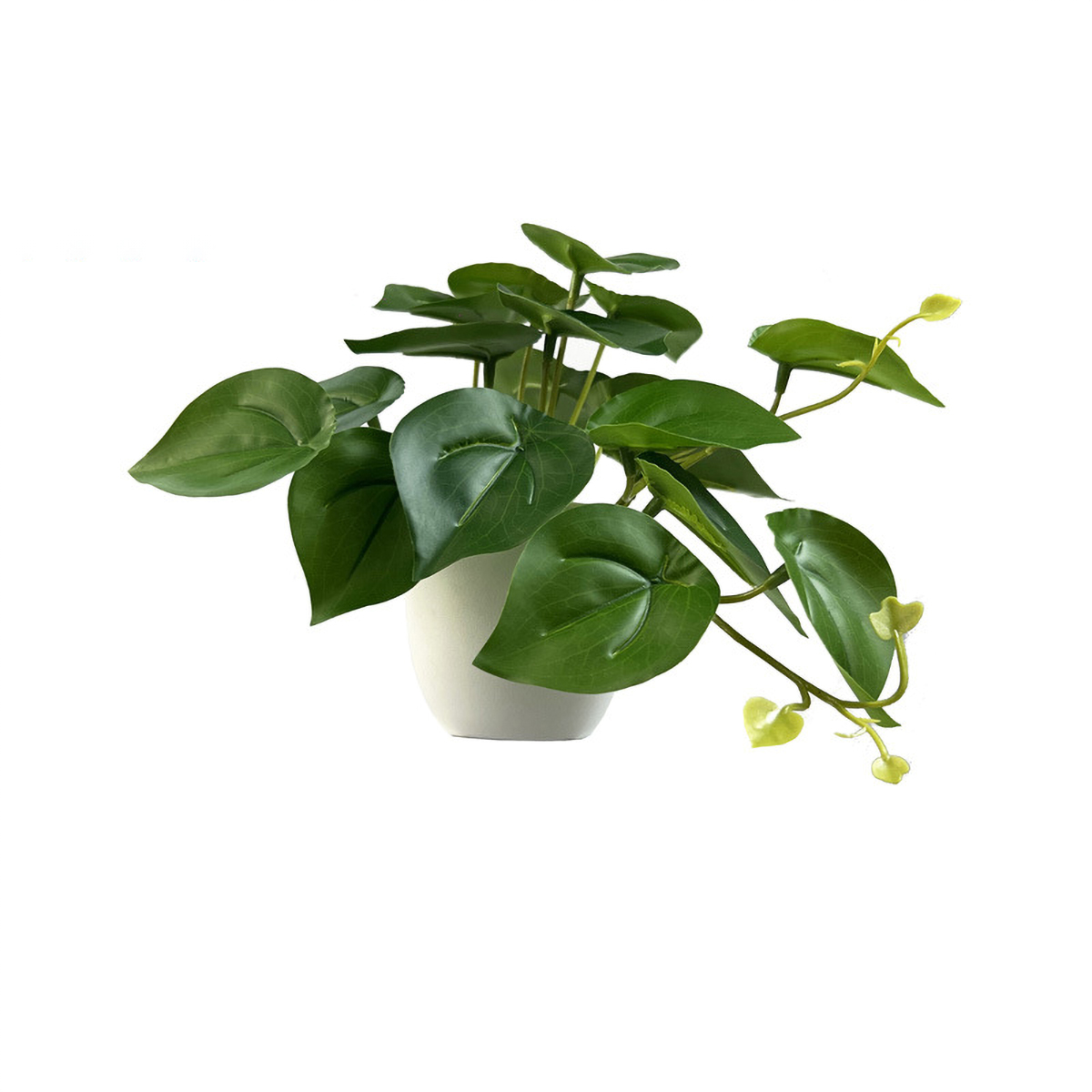 Matorino -Mini Fake Potted Artificial Plants, Faux Plants Indoor Farmhouse Greenery Decor for Shelf Bathroom Table Centerpiece Home Office Decoration.