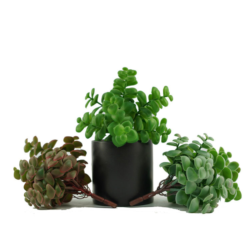 Matornio -Artificial Succulents, Premium Succulent Plants Artificial, Realistic Faux Succulents, Potted Textured Fake Succulents Decor for DIY, Fake Plants - Stylish Gifts for Christmas.