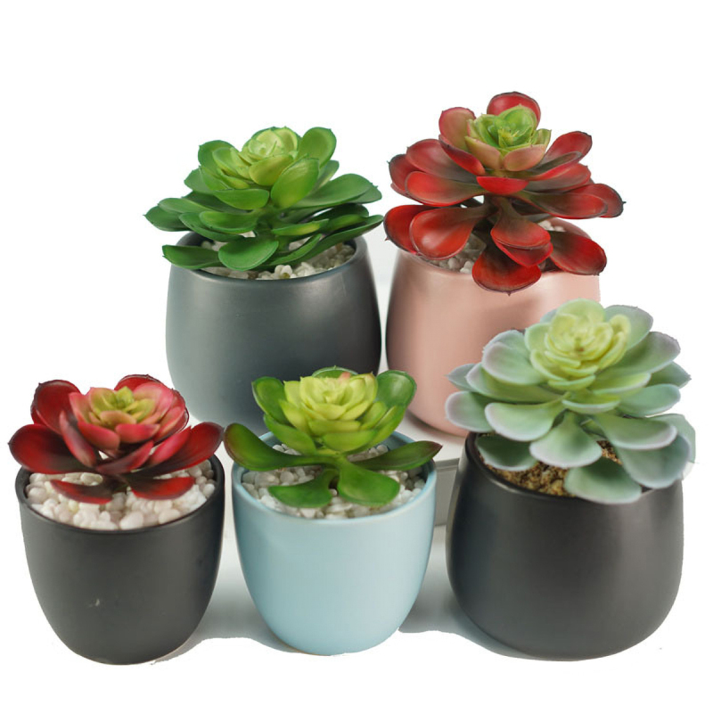 Matornio -Artificial Succulents, Premium Succulent Plants Artificial, Realistic Faux Succulents, Potted Textured Fake Succulents Decor for DIY, Fake Plants - Stylish Gifts for Christmas.