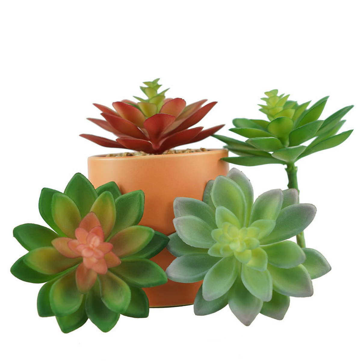 Matorino -Artificial Succulent Plants in Ceramic Pots, Realistic & Beautiful Assorted Fake Plants for Office Decor, Desk Plant, for Coworker, Small Faux Plants Indoor.