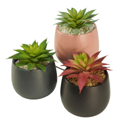 Matorino -Mini Artificial Succulent in Pots Cactus Fake Plants for Indoors, Office Decor Green, Room Decorations Aesthetics & Office Home Decor Gifts-Faux Plant Bathroom.