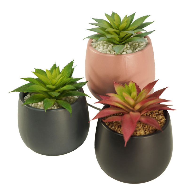 Matorino -Mini Artificial Succulent in Pots Cactus Fake Plants for Indoors, Office Decor Green, Room Decorations Aesthetics & Office Home Decor Gifts-Faux Plant Bathroom.