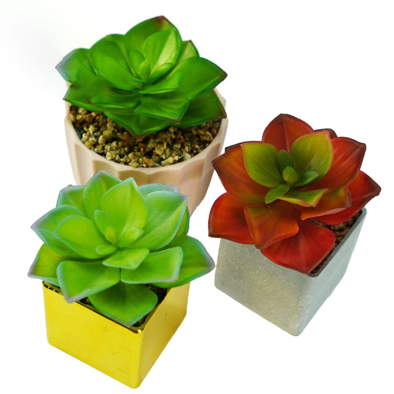 Matorino -Mini Artificial Succulent in Pots Cactus Fake Plants for Indoors, Office Decor Green, Room Decorations Aesthetics & Office Home Decor Gifts-Faux Plant Bathroom.