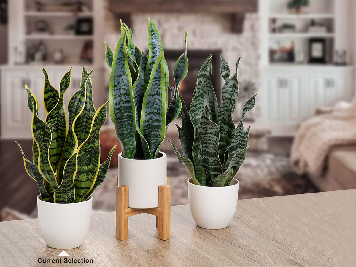 Matorino -Fake Plants Indoor, Artificial Snake Plants With Plastic Pods, Nordic Style Artificial Greenery, Faux Sansevieria Trifasciata, Tiger Piran Orchid For Living Room, Home, Bedroom, Office, Kitchen, Porch, Coffee Tables, Side Tables Desk.