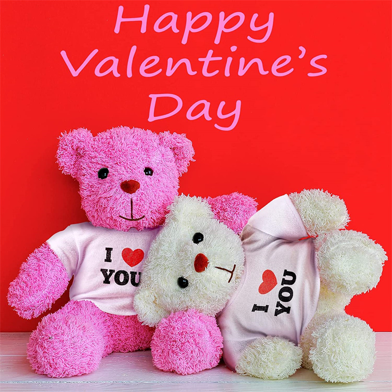 Bear Clothes White Doll T Shirts Doll T Shirts | Sublimation Blanks | 50PCS- RafeeSub