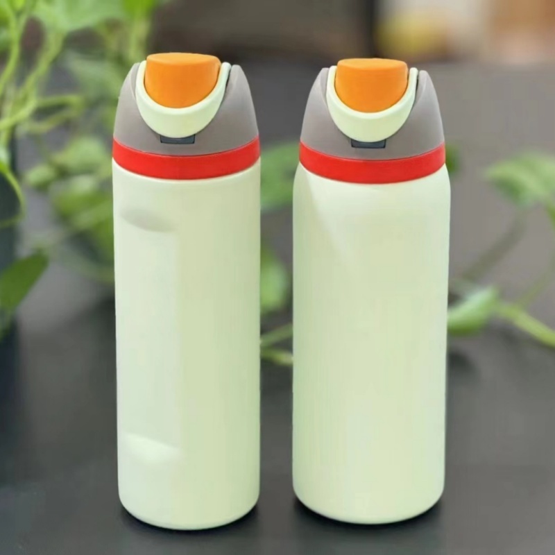 RAFEE 25pcs 24oz Stainless Steel Water Bottle with Straw-New Pre sale