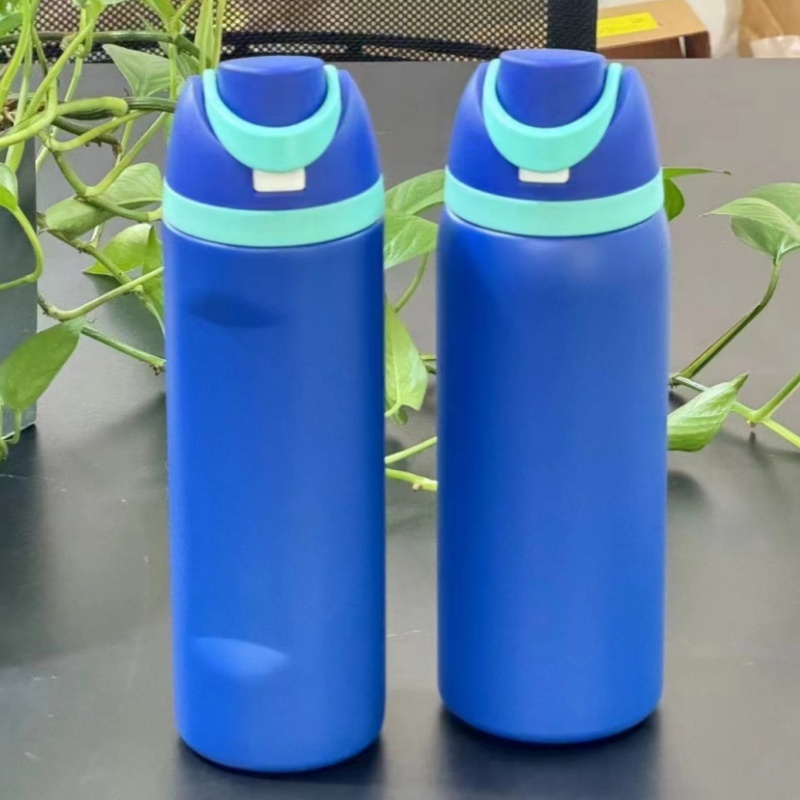 RAFEE 25pcs 24oz Stainless Steel Water Bottle with Straw-New Pre sale