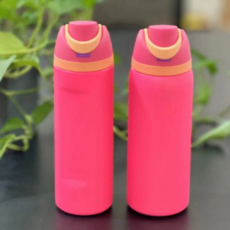 RAFEE 25pcs 24oz Stainless Steel Water Bottle with Straw-New Pre sale