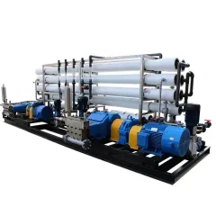 30t/h 30000lph Large scale groundwater purification reverse osmosis desalinate plant for potable water