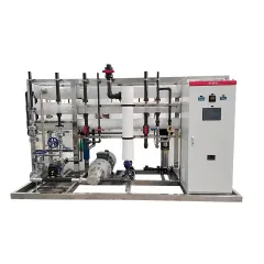 6000LPH Drinking Water Purifier Reverse Osmosis Purification Equipment