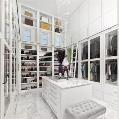 Modern luxury cloakroom wak-in closet design with glass doors