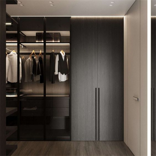Wood modern plywoood walk-in closet with door and led light designs