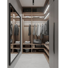 Wood modern plywoood walk-in closet with door and led light designs