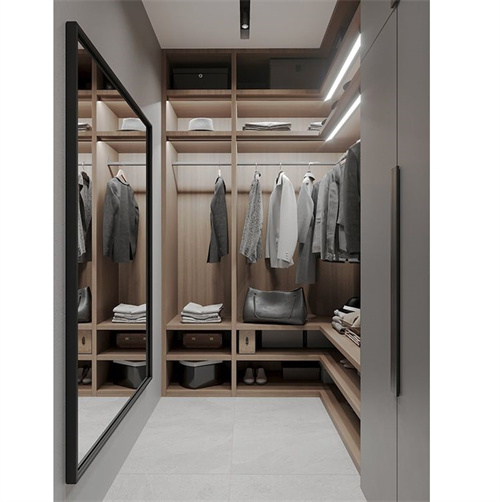 Wood modern plywoood walk-in closet with door and led light designs