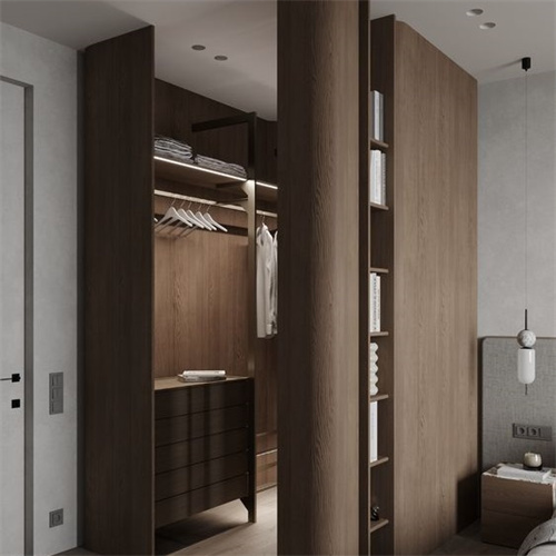 Morden Wardrobe Design Build in Wood Closet Wardrobe Storage Closet Walk in Wardrobe