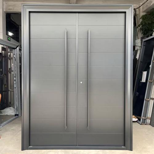 Sleek &amp; stylish extra-large double metal entry doors, custom sizes available