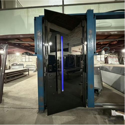 Niche Designer Mirror Reflective Custom Size Metal Entry Door