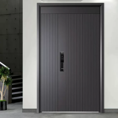 Modern Minimalist Metal Entry Door for Small Spaces, Custom Size Available
