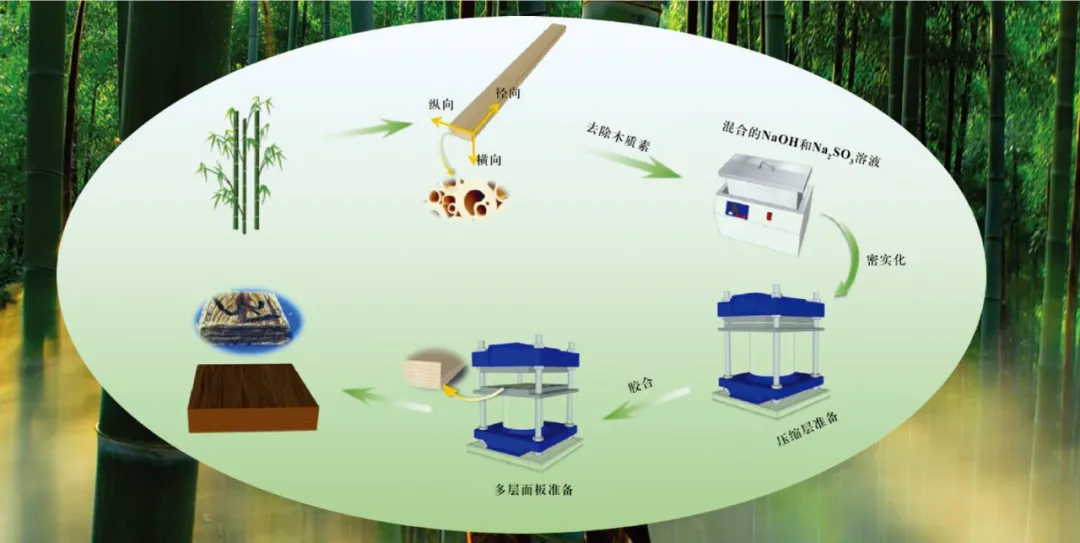 Scientific bamboo rattan丨Enhance the strength and thermal stability of bamboo, and help the development of green buildings