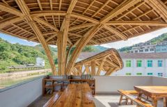 Natural Bamboo Poles for Sustainable Architecture and Decorative Design