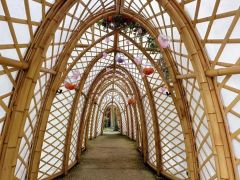Natural Bamboo Poles for Sustainable Architecture and Decorative Design
