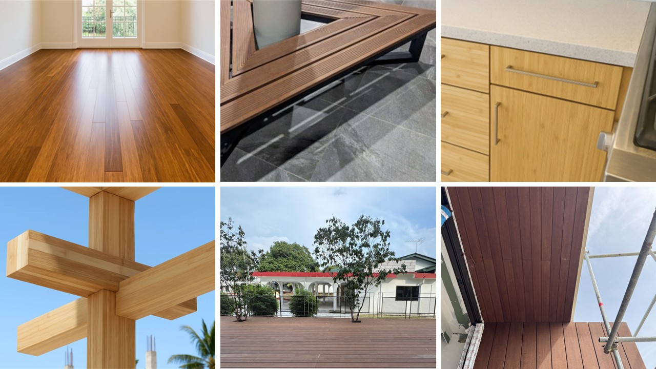 Bamboo: China’s Global Solution to Plastic Pollution and Sustainable Construction