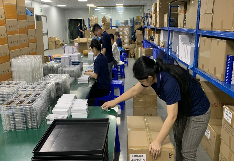 Protection Department