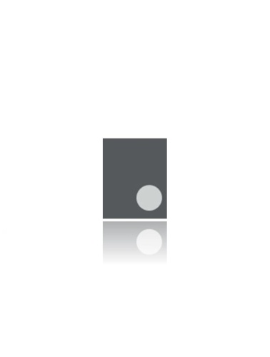 PA Inductor Coil Compatible For iPhone 6 / 6 Plus (L4003_RF)