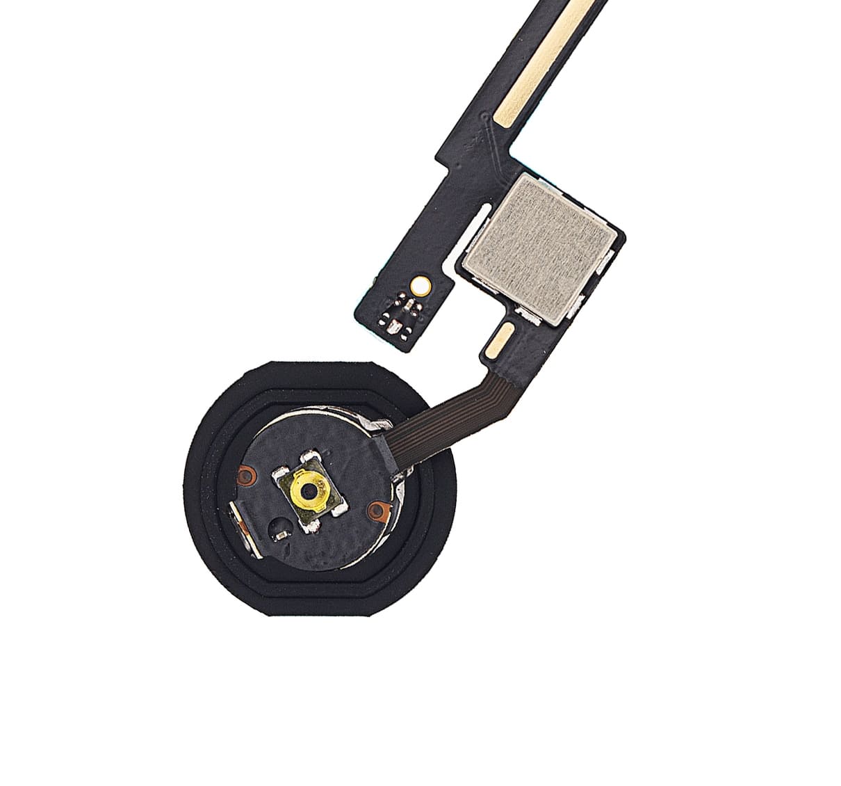 Home Button With Flex Compatible For iPad Mini 3 (Gold)