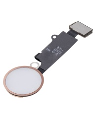 Home Button With Flex Compatible For iPhone 7 / 7 Plus / 8 / 8 Plus / SE (2020) / SE (2022) (Rose Gold) (Warning: Compatible For Cosmetic Use Only)