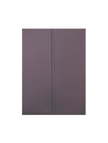 Polarizer Film Compatible For iPad Pro 10.5" (Premium) (10 Pack)