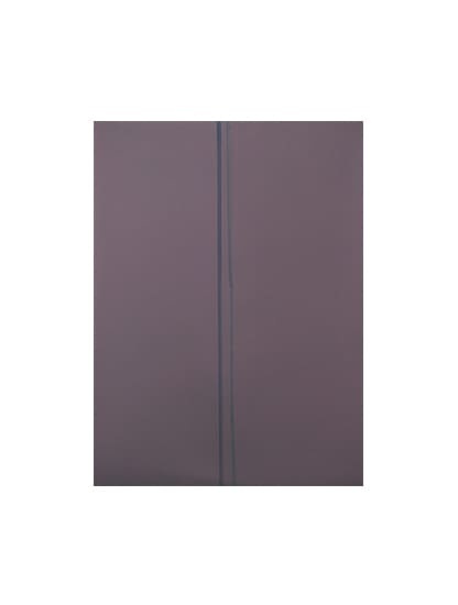 Polarizer Film Compatible For iPad Pro 10.5" (Premium) (10 Pack)