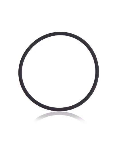 Back Camera Lens O-Ring Gasket Compatible For iPhone 7 Plus (100 Pack)