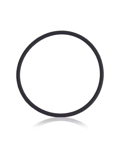 Back Camera Lens O-Ring Gasket Compatible For iPhone 8 Plus (100 Pack)