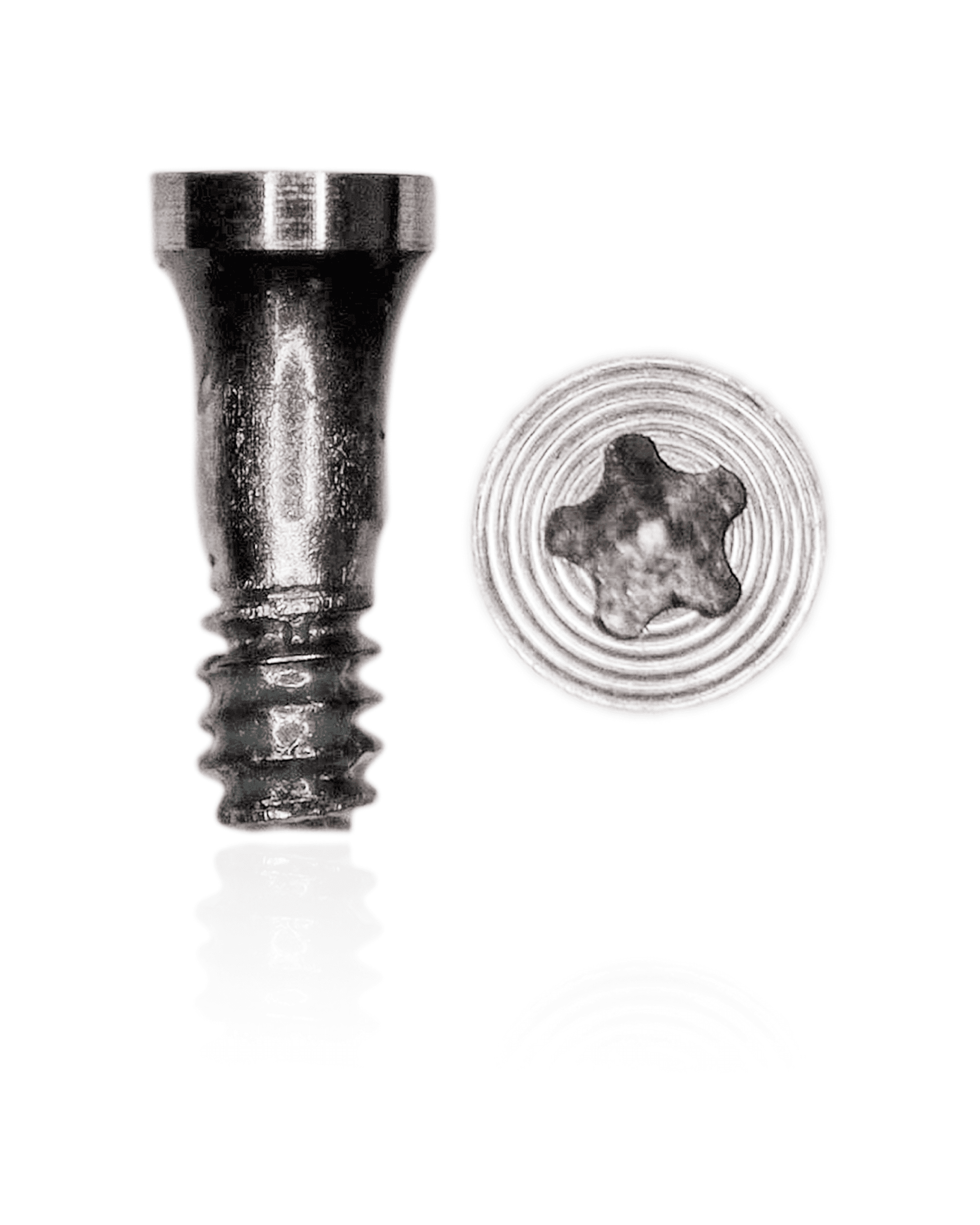 Bottom Screws Compatible For iPhone 7 / 7 Plus (Silver) (100 Pack)