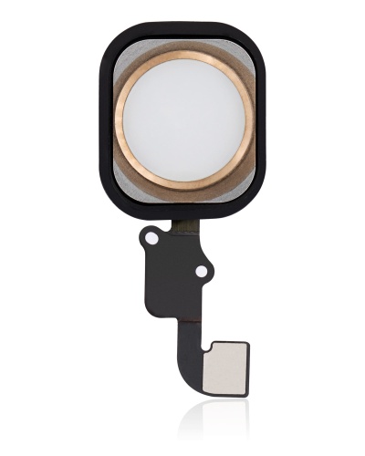 Home Button With Flex Compatible For iPhone 6 / 6 Plus (Gold)