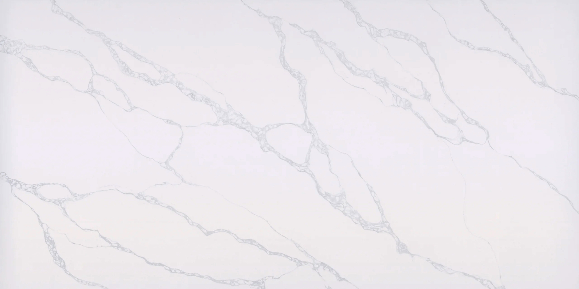 Borghini Gray