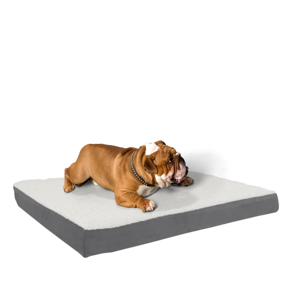 27 x 20 x 3 in Orthopedic Dog Kennel Cat Bed Thick Memory Foam Dogs Mat