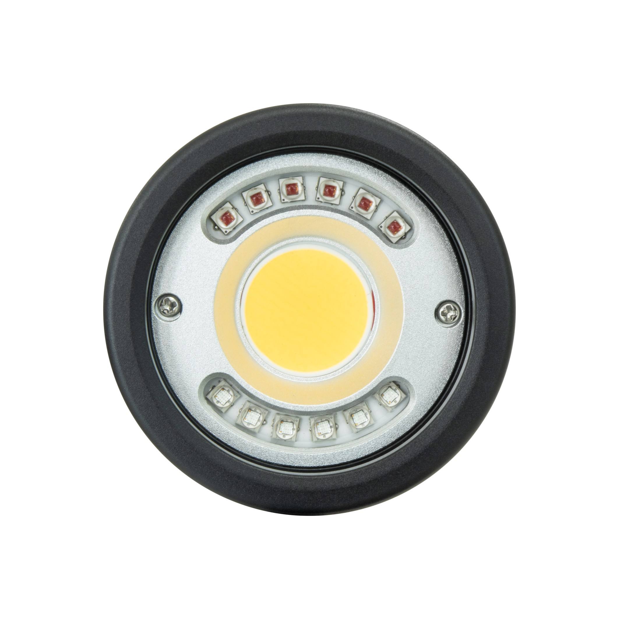 F4 Compact Focus Light