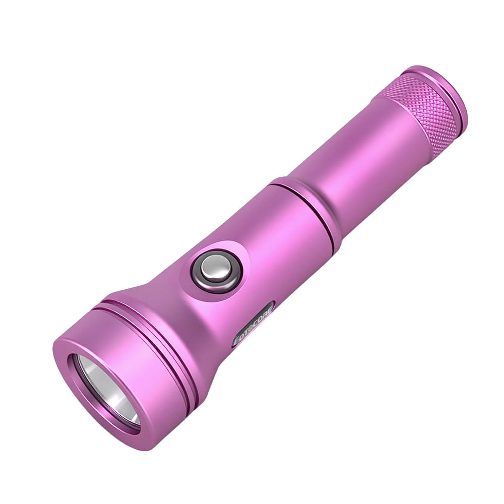 D2 Diving Light