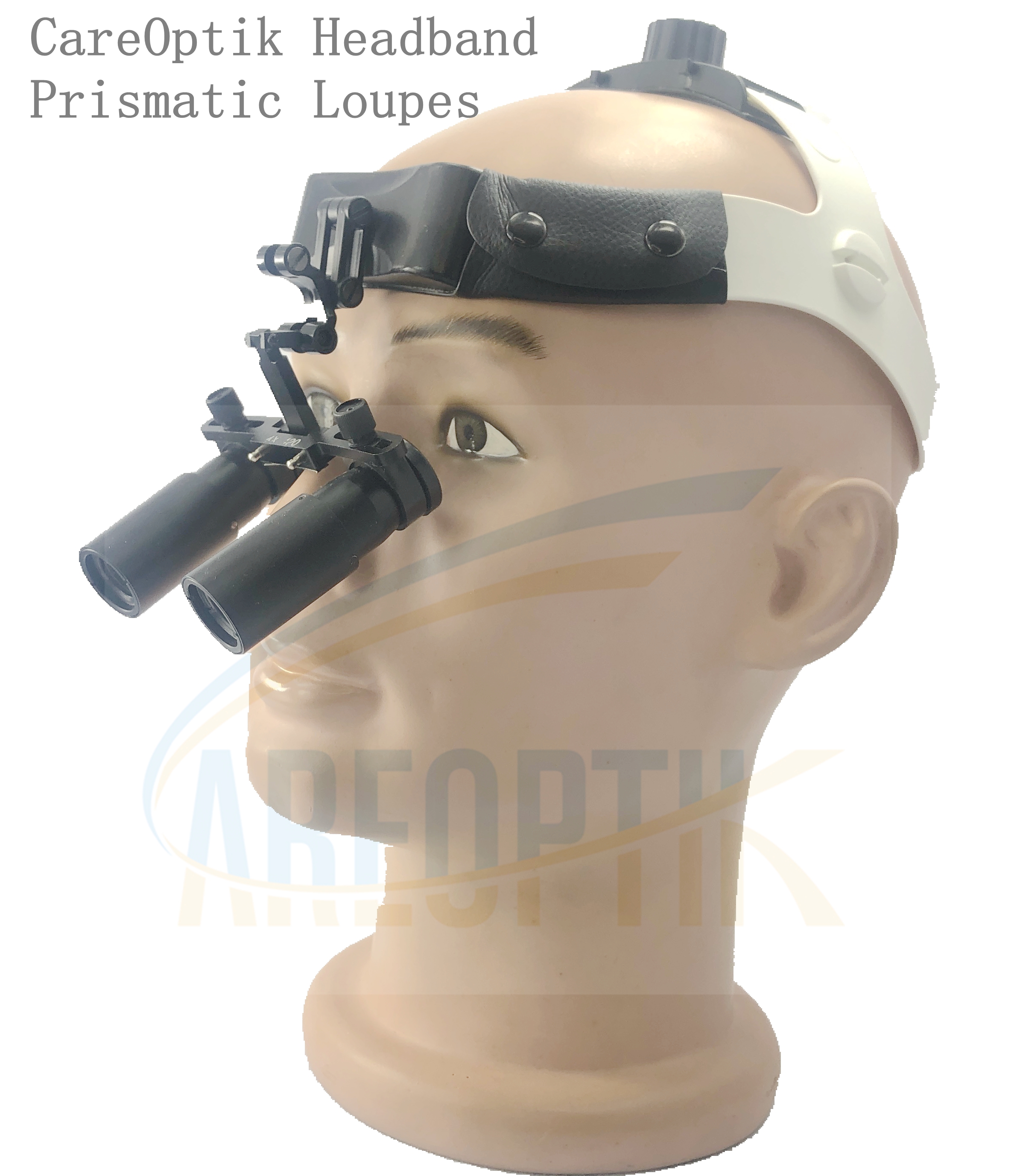 LB Headband 2.5X8.0X dental surgical loupes sets movable