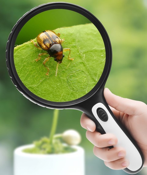Handheld Bifocals magnifier C-130 With LED light illumination