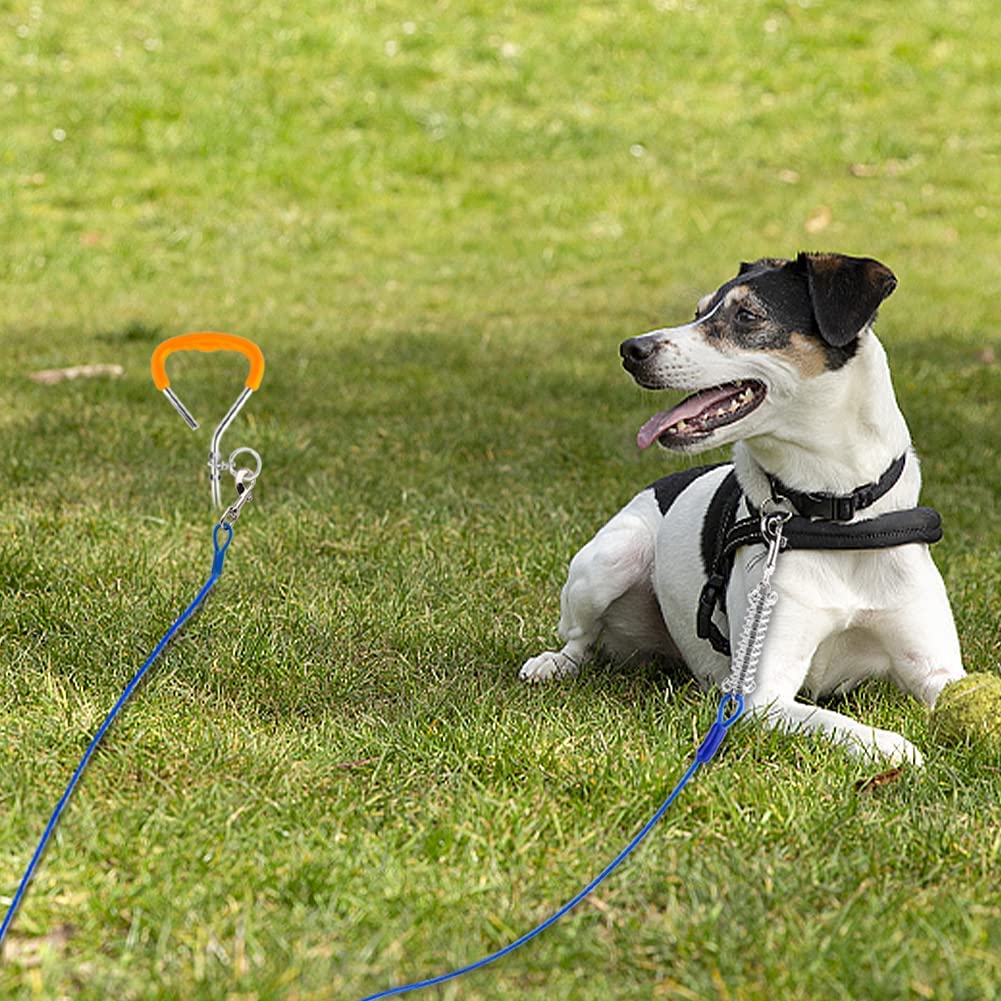 Dog Stake