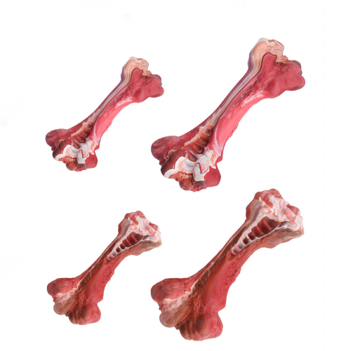 Durable Dog Chew Toy