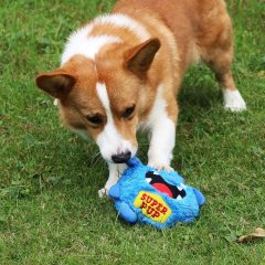 Dog bouncing ball toy-Patent IP