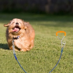 20/30 Feet Tie Out Cable Chew- Proof for Dog Stake with Durable Spring Rust